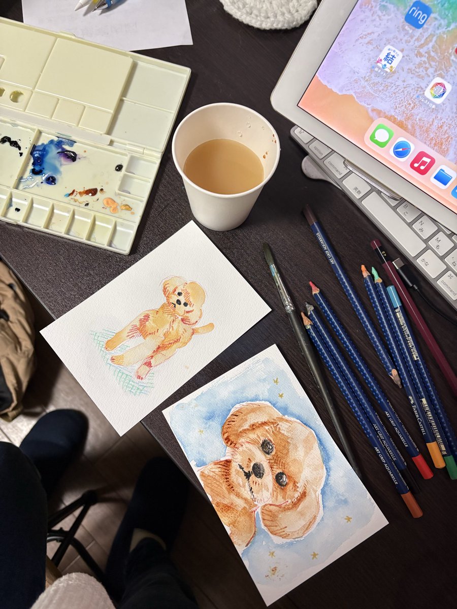 ノグチマリコ tweet media