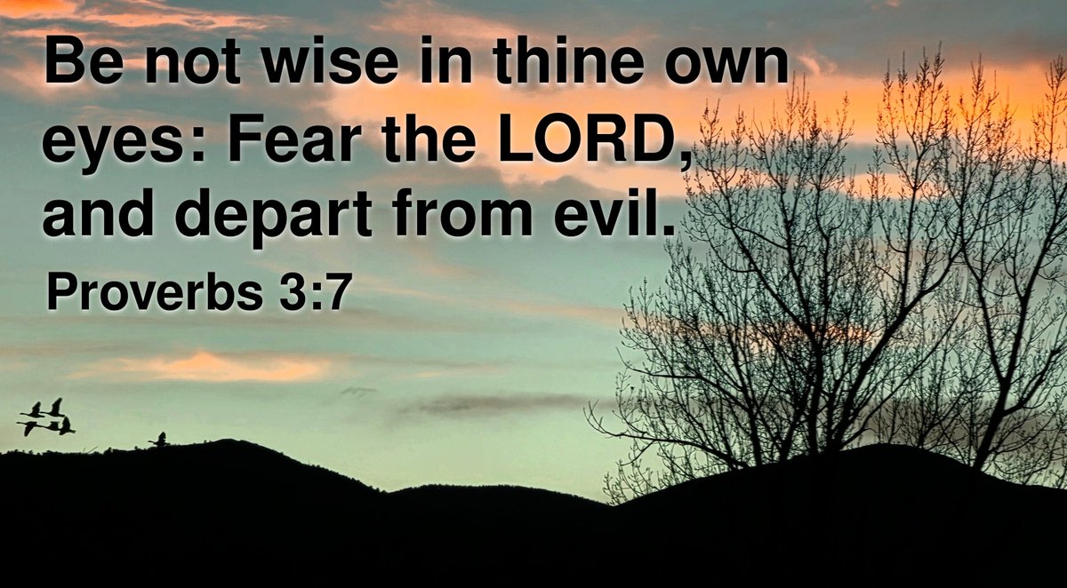 Jeanne Harrington tweet media