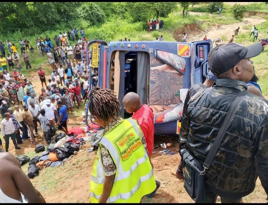 limitless Media Ke tweet media