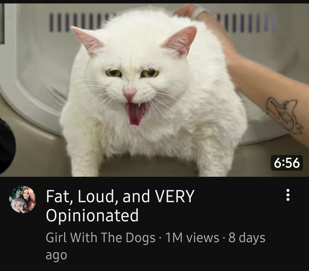 🍒🍀🥀 tweet media