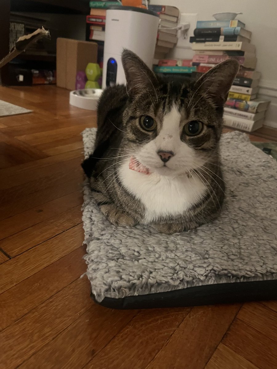 Eddie Wharton tweet media