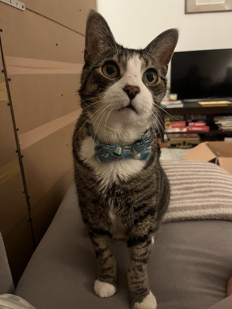 Eddie Wharton tweet media