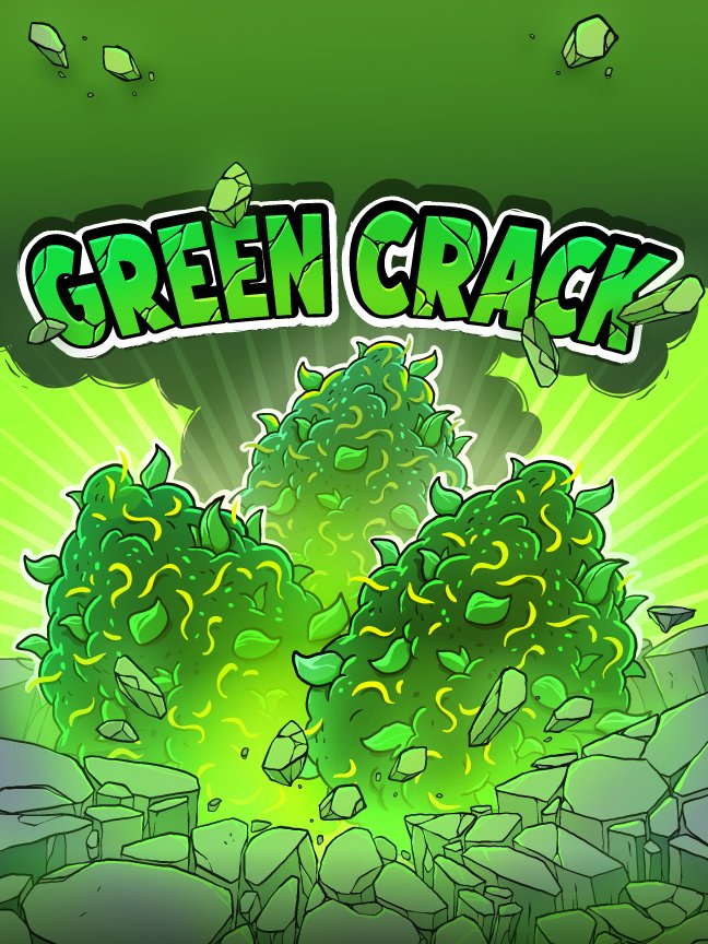 Twisted Tree Autoflowers tweet media