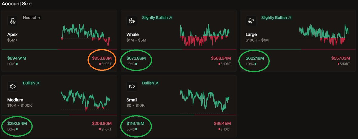 Deep Whale tweet media