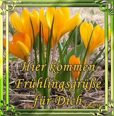 Haas, Marion tweet media