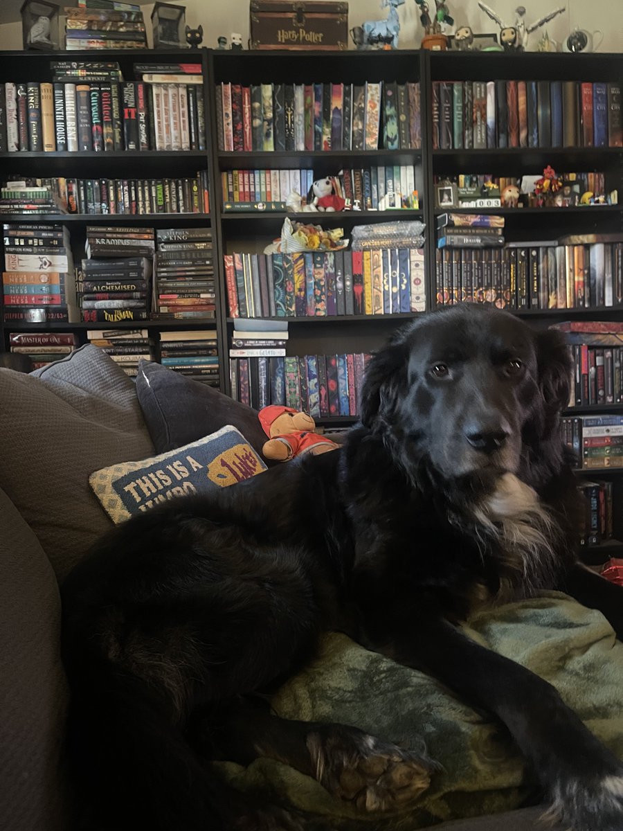 J ❤️🔥 tweet media