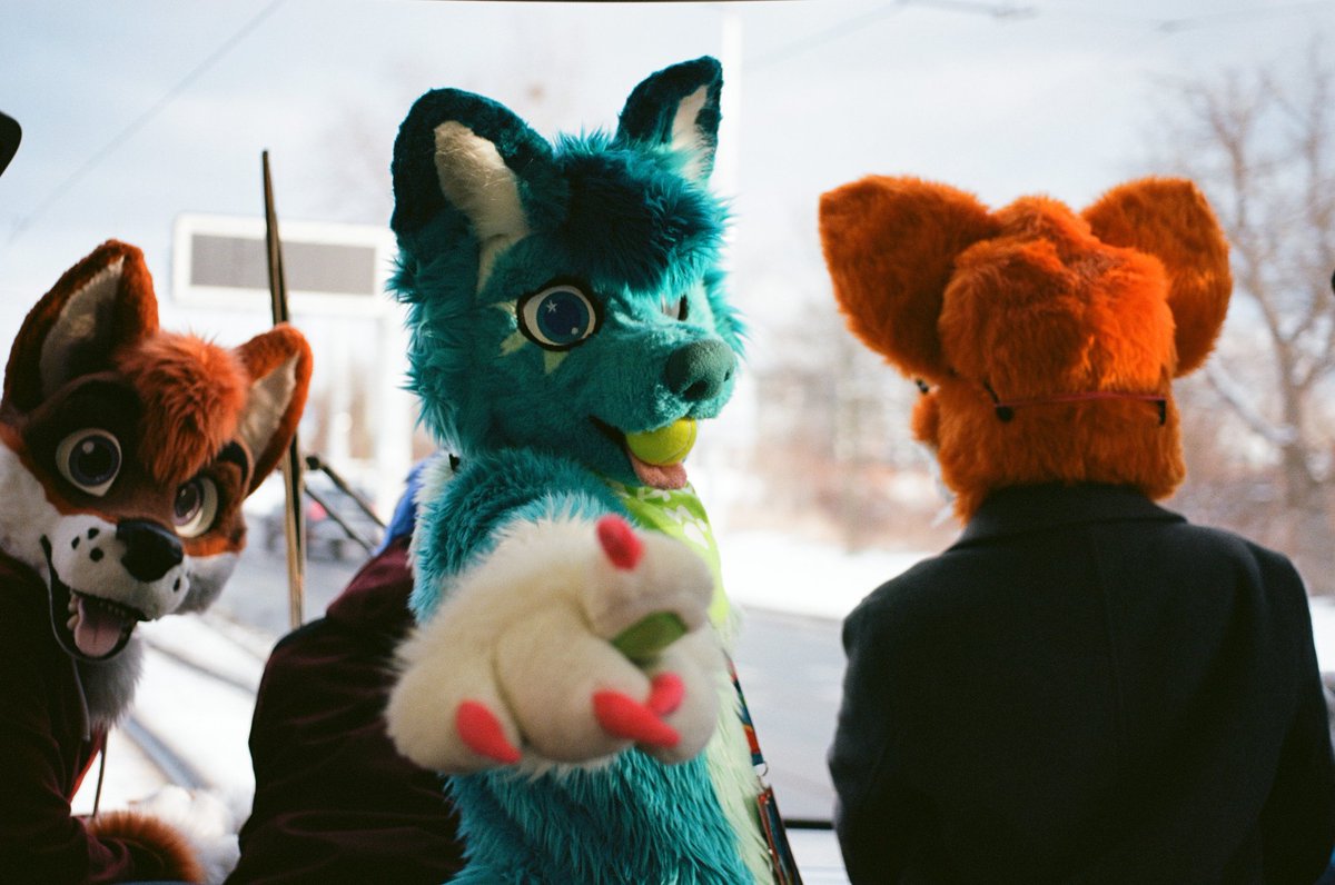 mato_husky tweet media