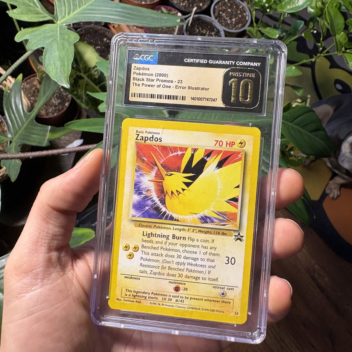 MrGreenity tweet media