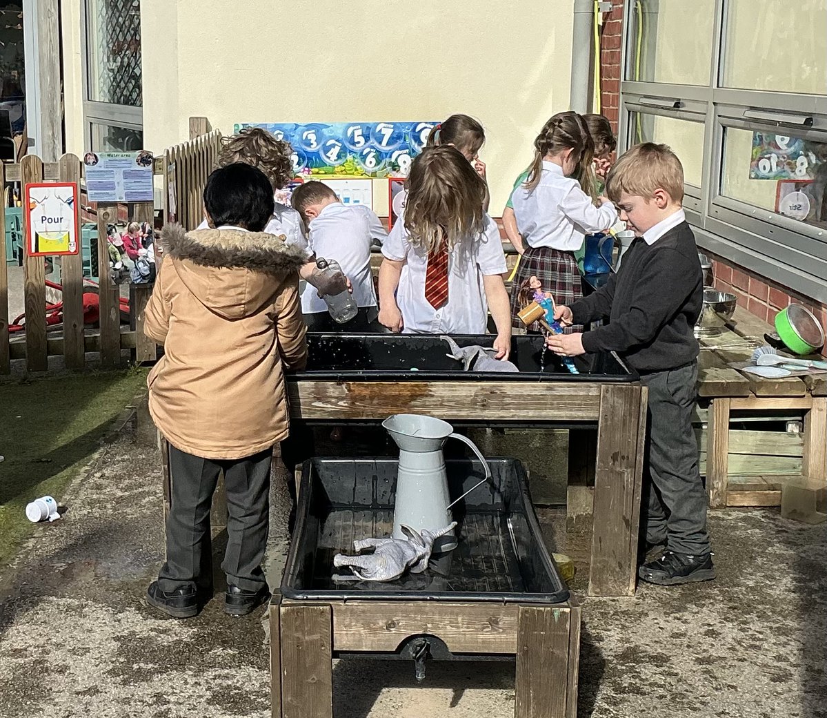 Lime Tree Class tweet media