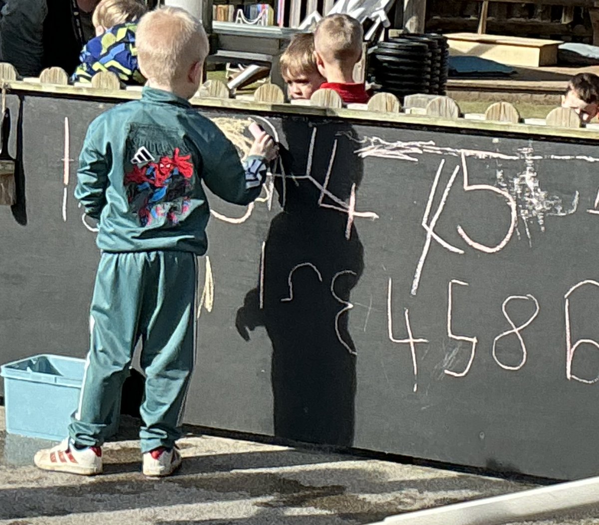 Lime Tree Class tweet media