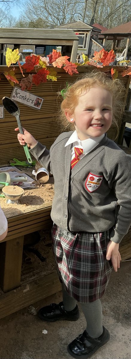 Lime Tree Class tweet media