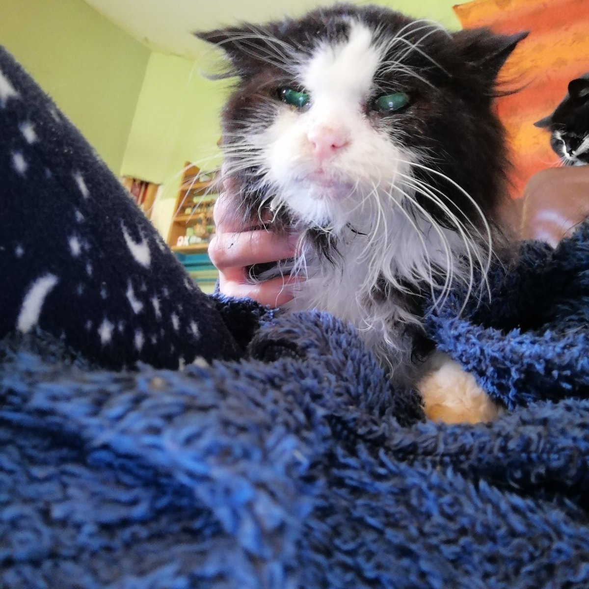 Clit Eastwood 🪵🪓 tweet media