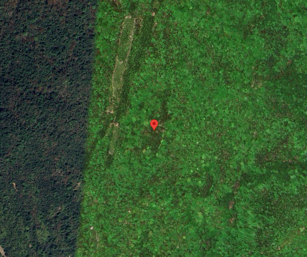 sabakichi tweet media