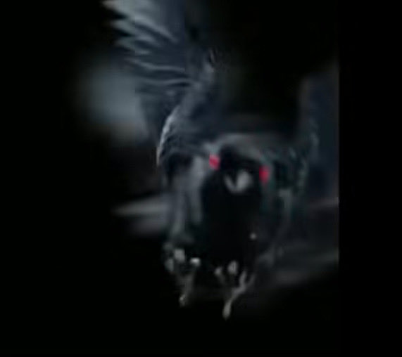 Diego Souza tweet media