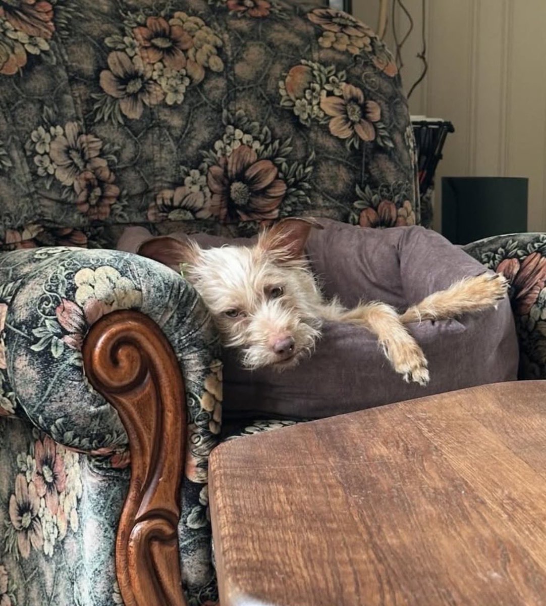 💛💙Hanna❤️🖤 tweet media