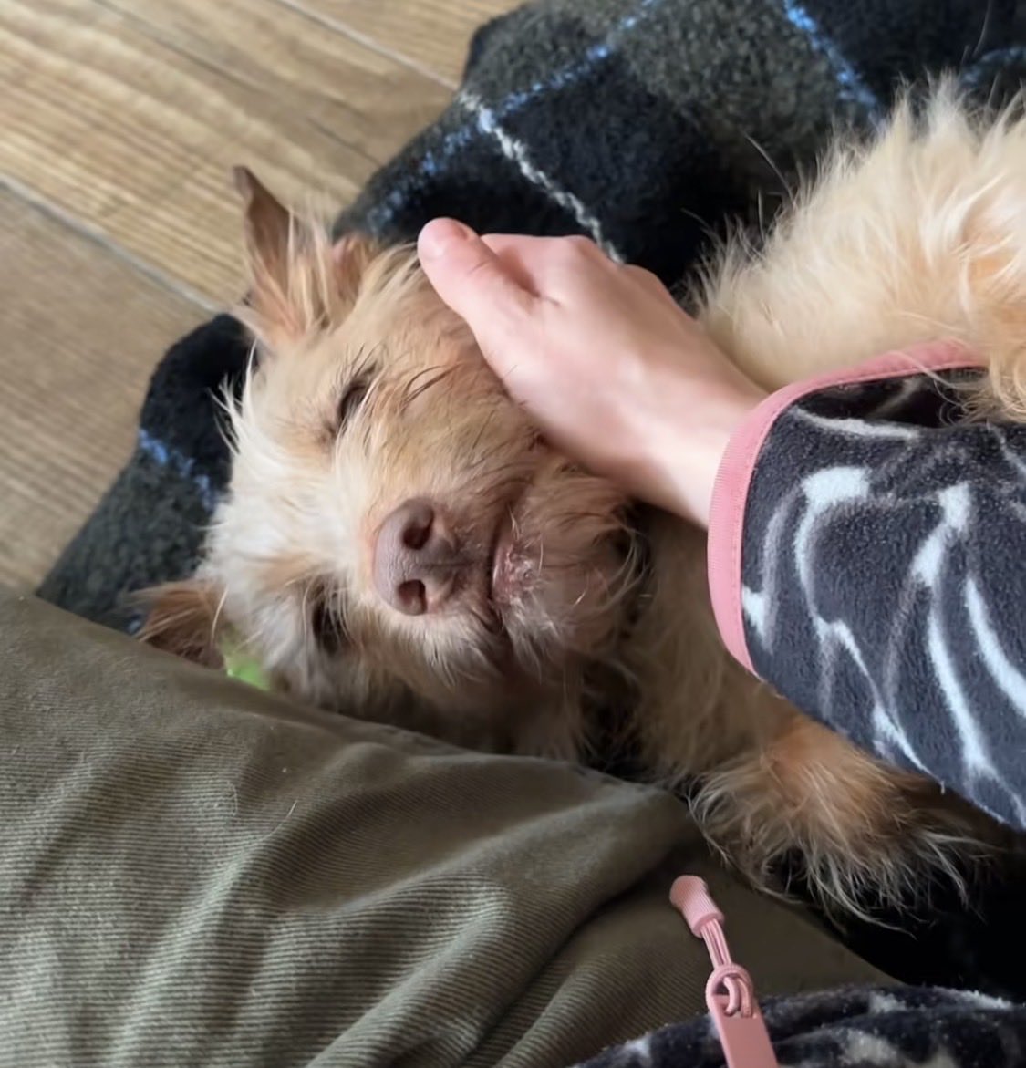 💛💙Hanna❤️🖤 tweet media