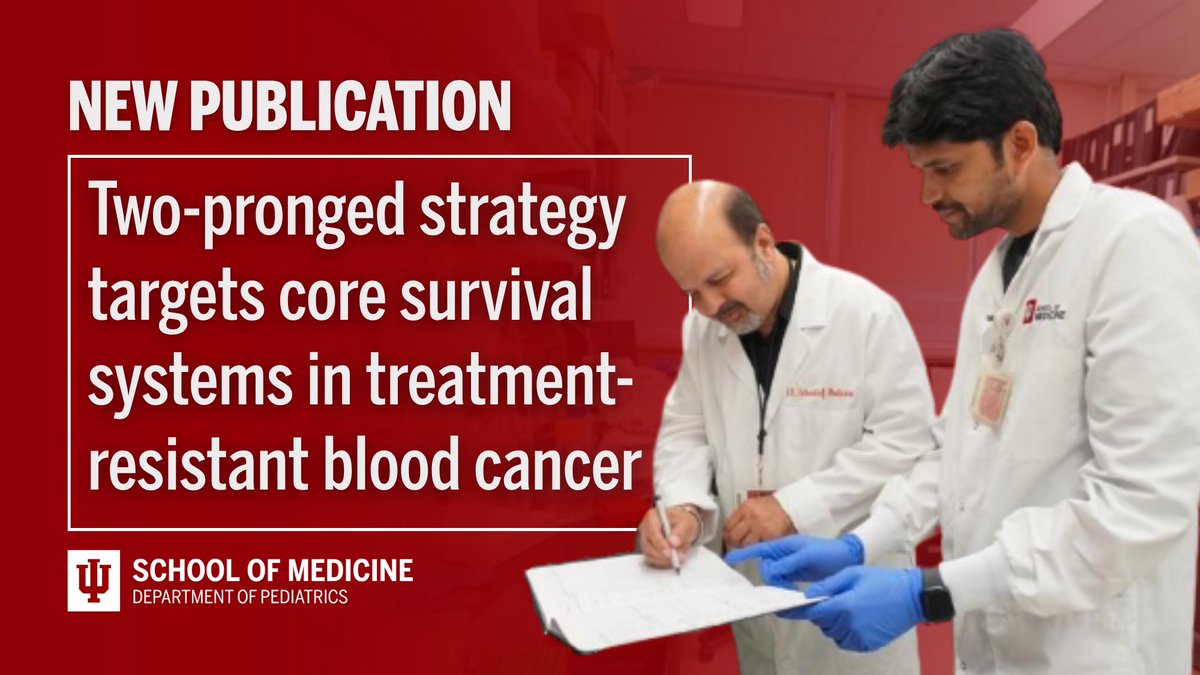 IUWellsCenter's tweet photo. Researchers at the @IUMedSchool have developed a two-pronged strategy to combat acute myeloid leukemia (AML).

Discover more: https://t.co/fAUXTzy8Go https://t.co/GW2IBH8eBT
