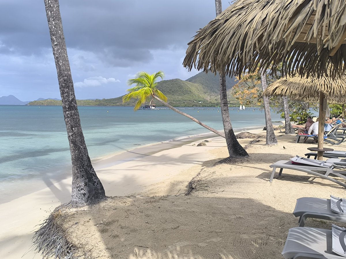 SebG 🌸🇫🇷 tweet media