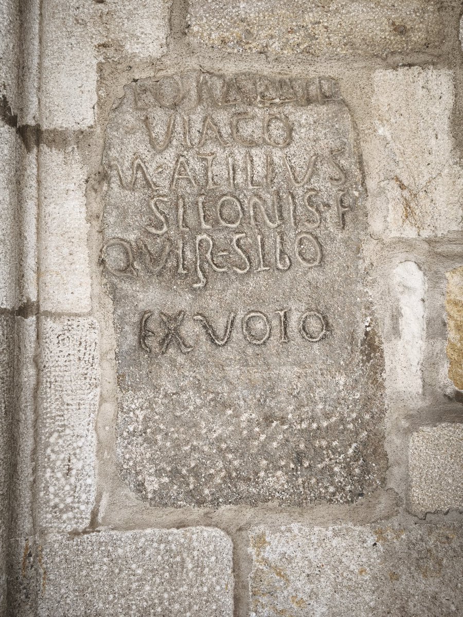 Tadeus Calinca tweet media