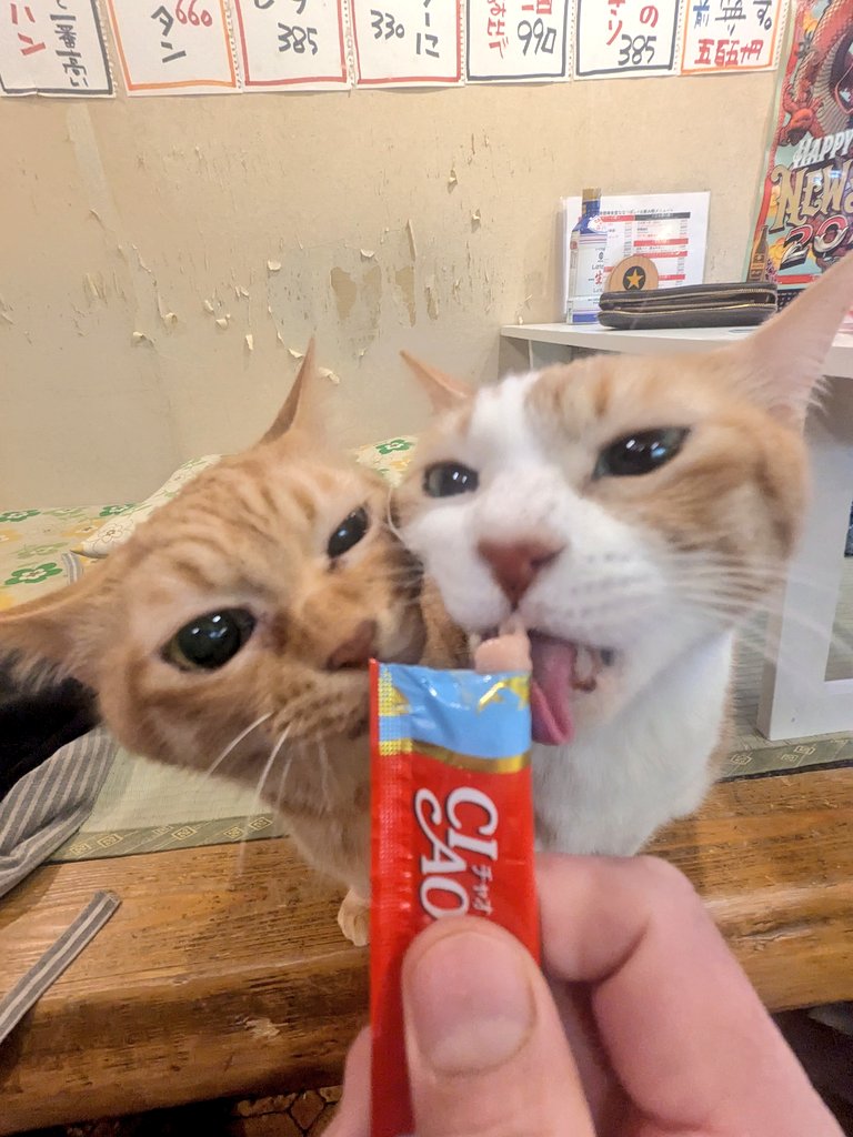 大衆酒場食堂ななつぼし tweet media