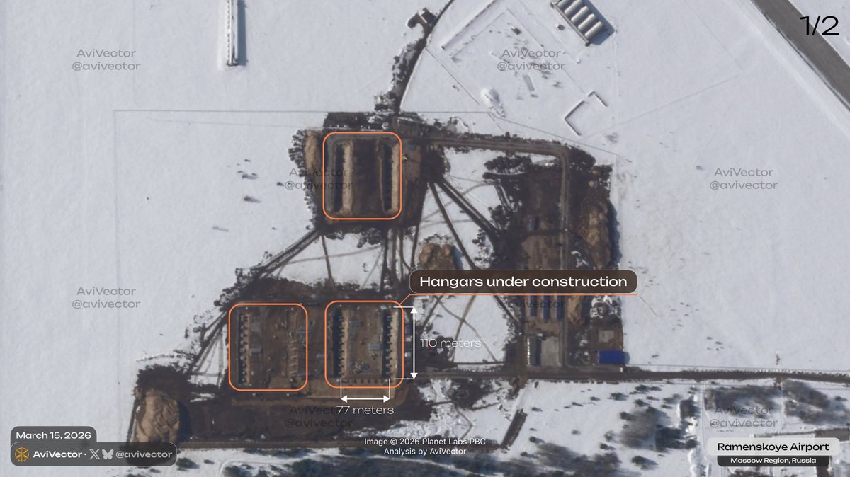 AviVector tweet media