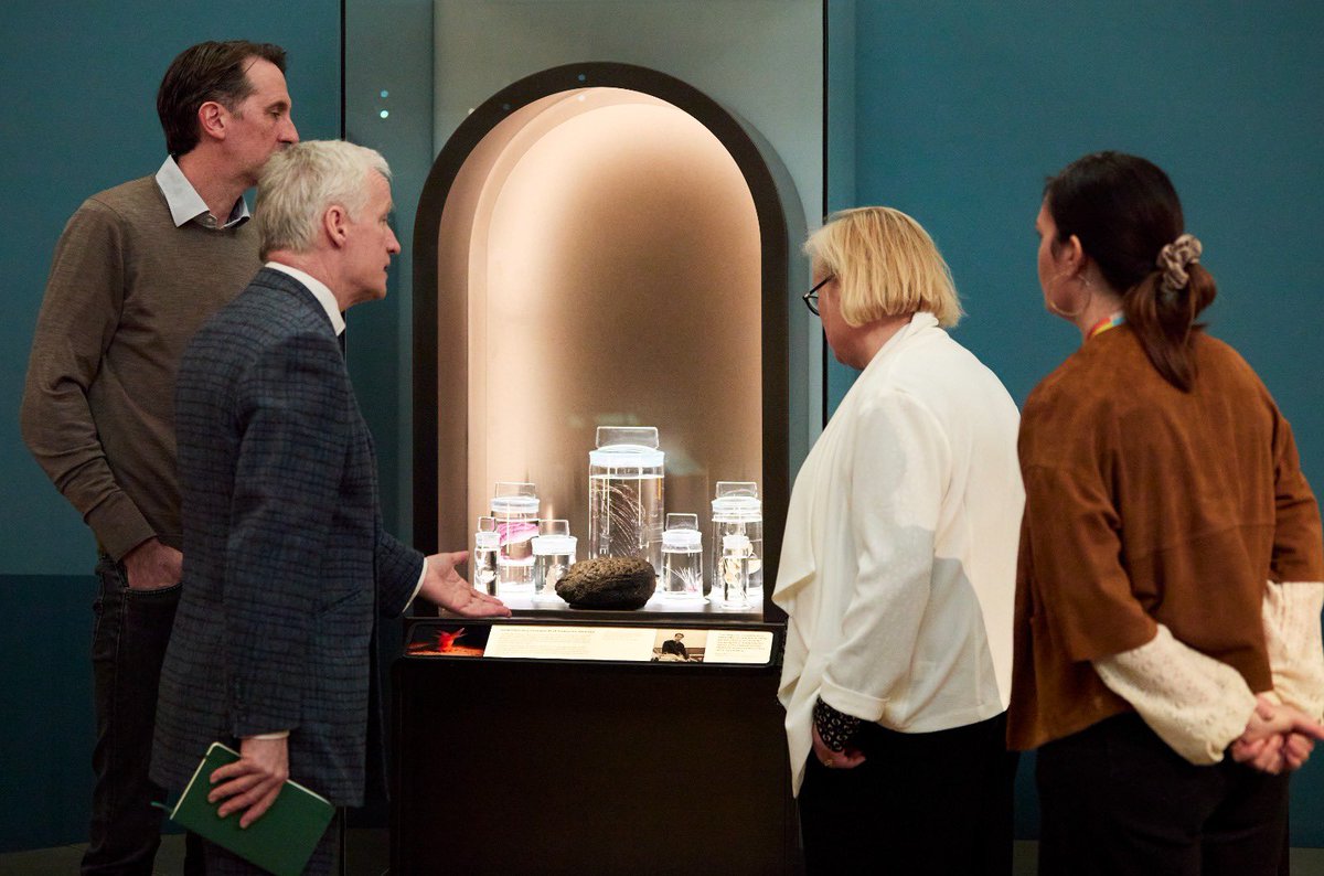 Fiona Twycross tweet media