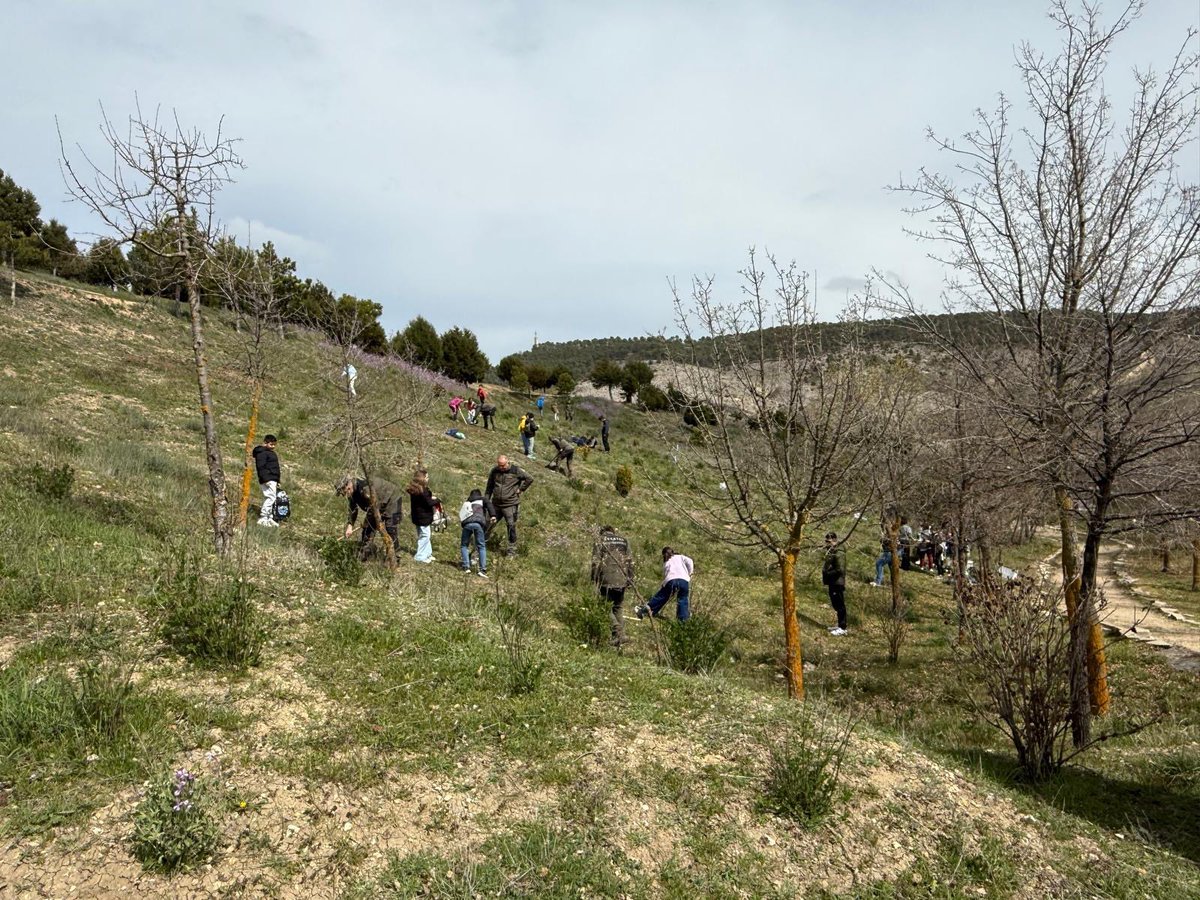Museo de Paleontología de Castilla-La Mancha tweet media