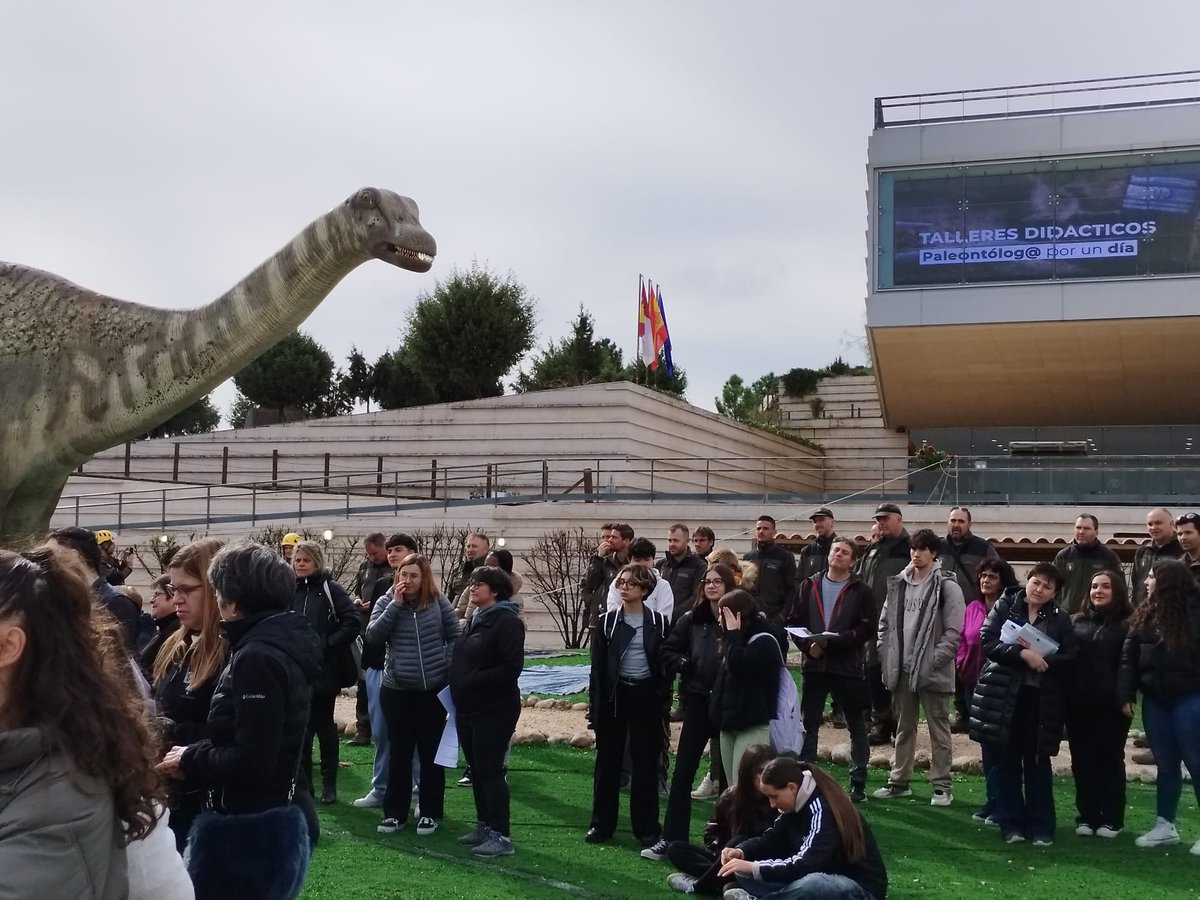 Museo de Paleontología de Castilla-La Mancha tweet media