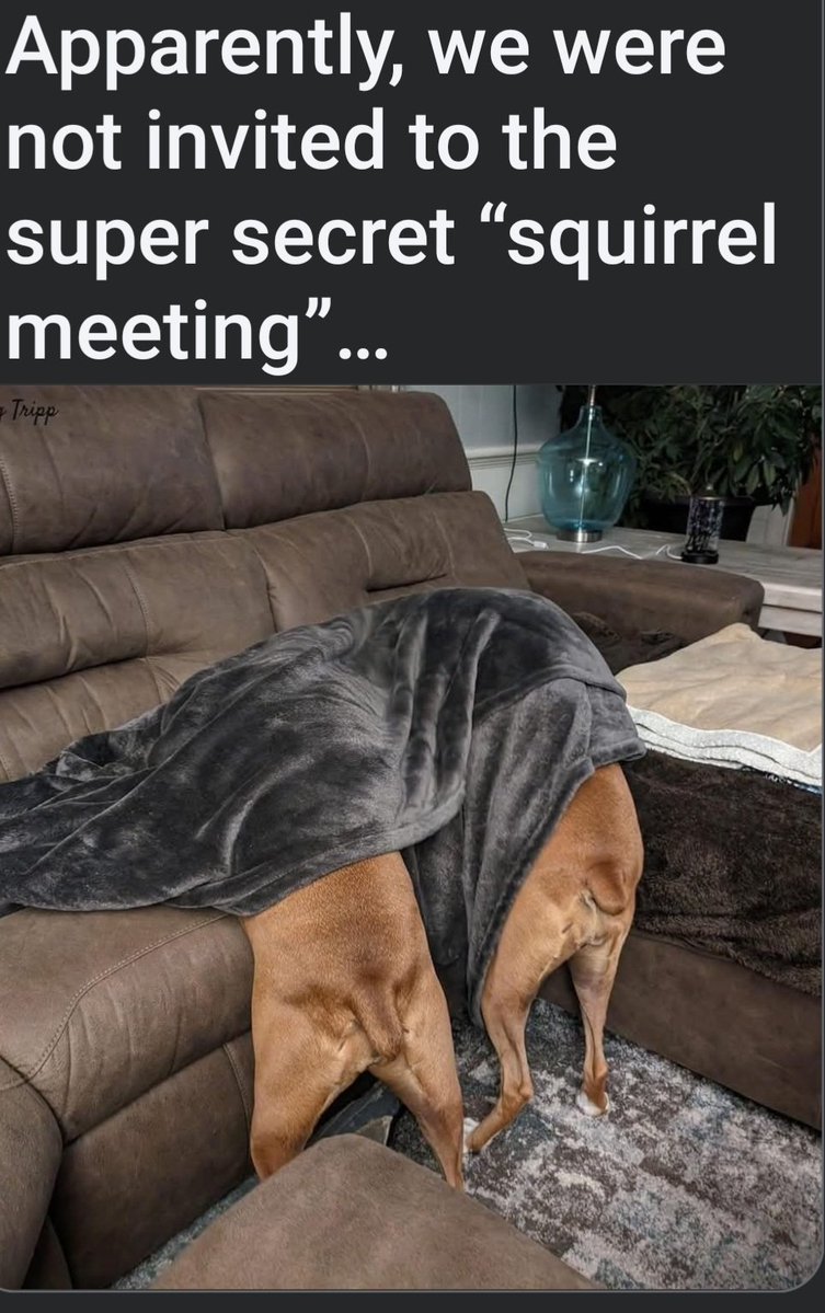 Ewan-Scotland tweet media