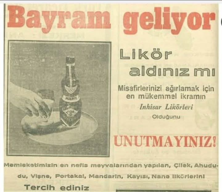 Özge ŞABO tweet media