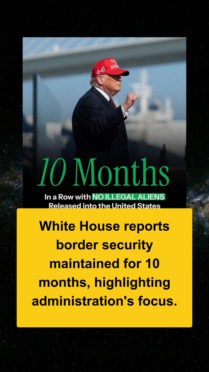 Bool News tweet media