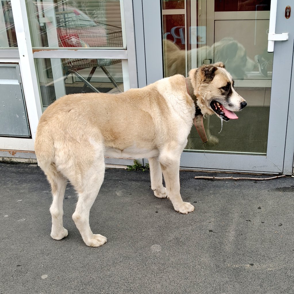 Шаткий Максимализм 🏴 tweet media