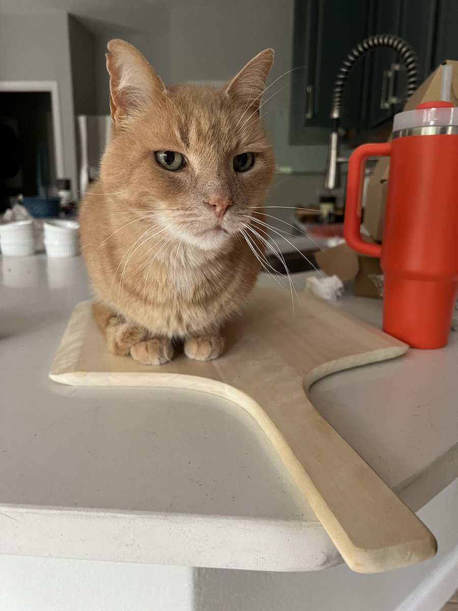 jin.tao.gpu tweet media