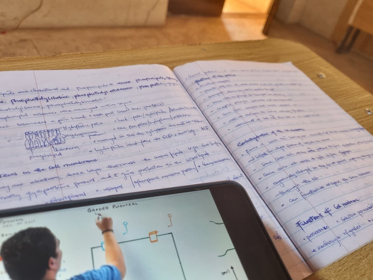 ᴀᴏᴍɪɴᴇ ᴛʜᴇ ꜰɪʀꜱᴛ 🩻 tweet media