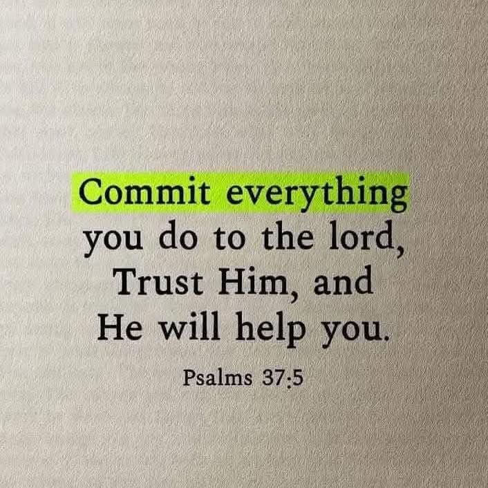 Mervat60162247's tweet image. Give God the right to direct your life, and as you trust Him along the way, you'll find He pulled it off perfectly! #TrustHim 🌺