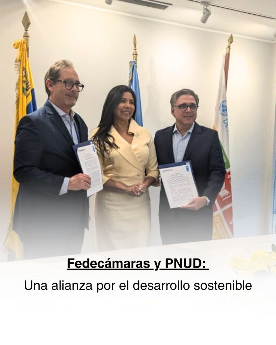 Felipe Capozzolo G. tweet media