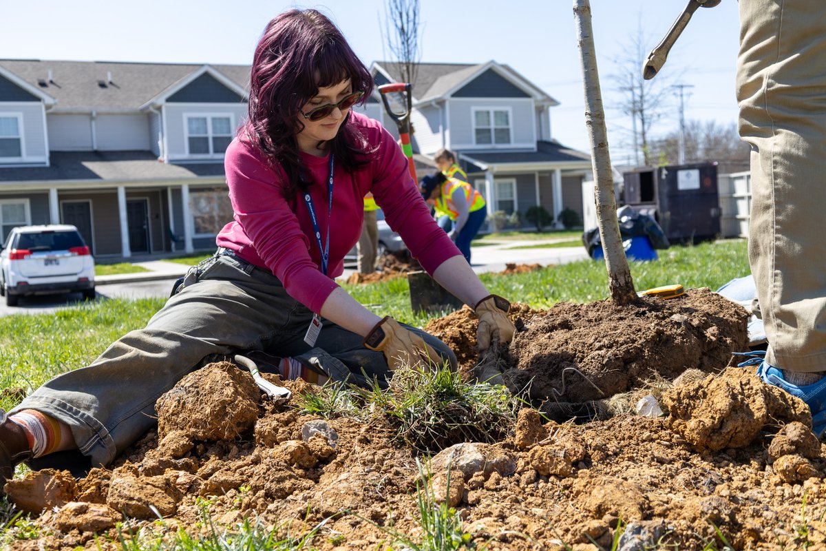 Knoxville's Community Development Corporation tweet media
