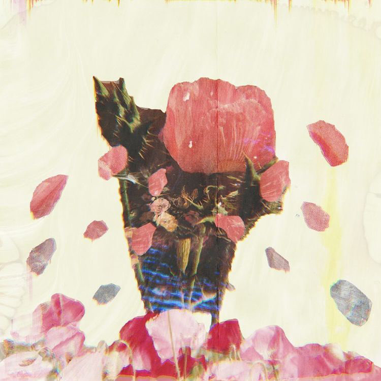 NSFS VOL 1 OUT NOW tweet media