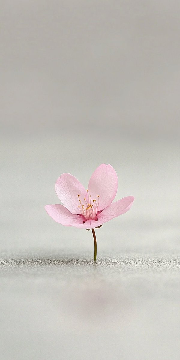 Mikko Nurmo tweet media