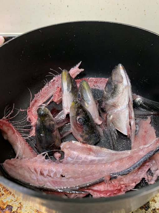 スターゲイジー・オスイモノをつくるよ 