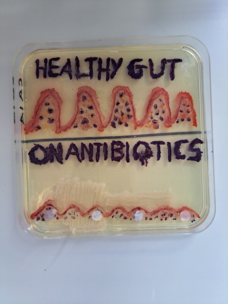 BLSLancasterUni's tweet photo. We're excited to share the fabulous #bioart produced by our second year students on the Microbiological Techniques module, run by Prof. Jackie Parry. This year we have 4 winners as voted for by the students.
1st place🏆is Luke Pek's submission "Zooonosis - Don't kiss your dog!!!" https://t.co/AuYCOefZ1O