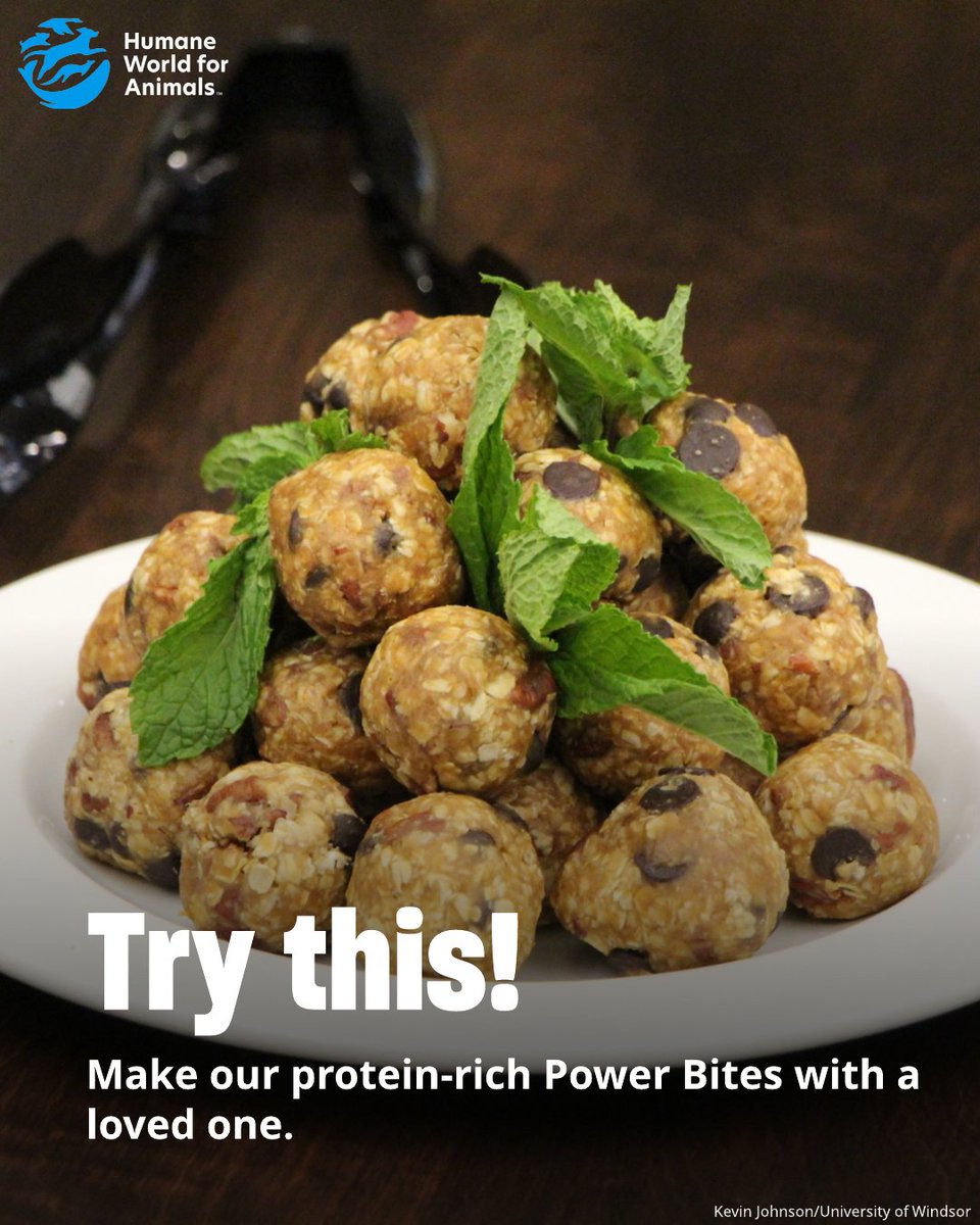 Humane World for Animals Canada tweet media