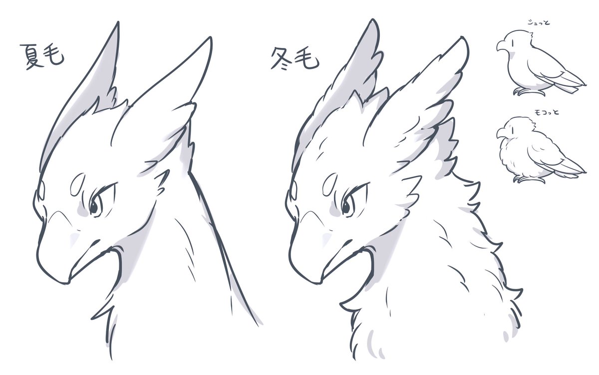 とかくよ tweet media