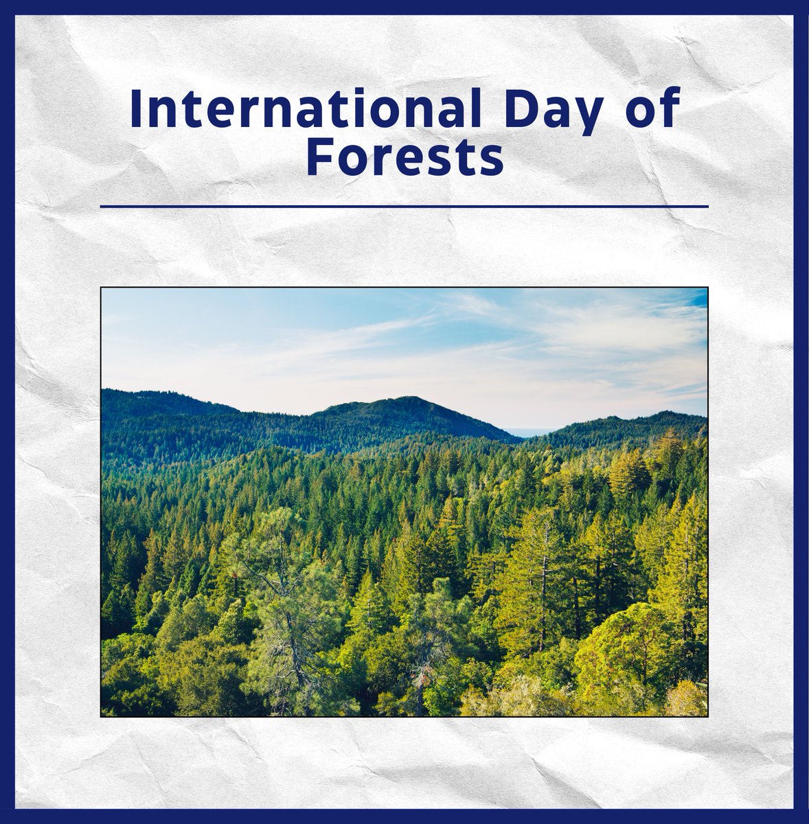 UK Paper Industries tweet media