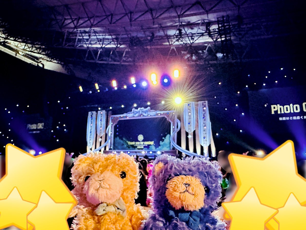 ゆーぽん🐈‍⬛🐾 tweet media