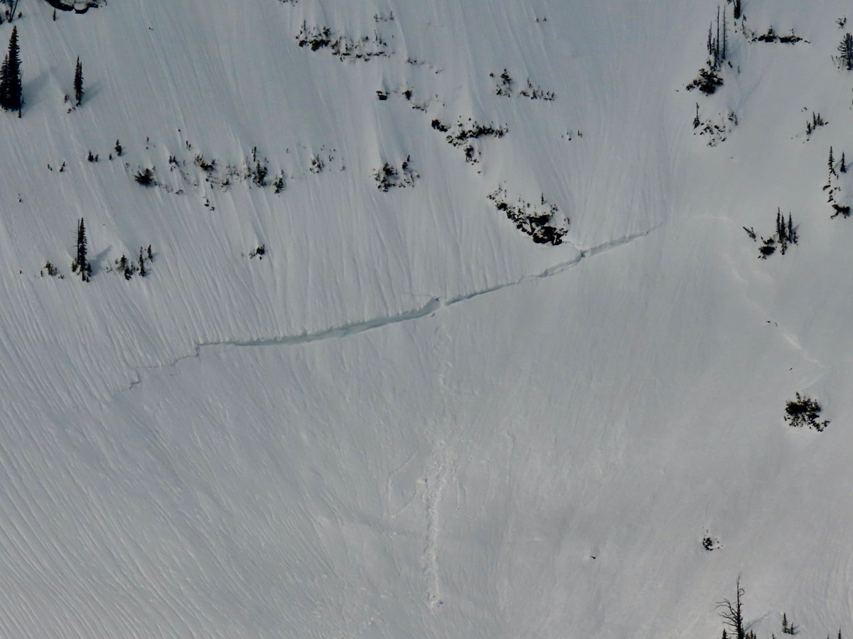 FACAvalanche tweet picture