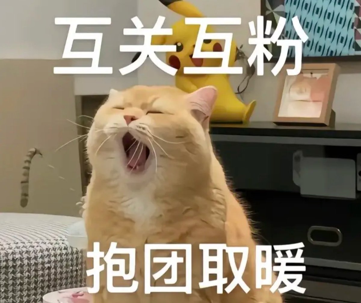 二狗🐬 TermMax tweet media