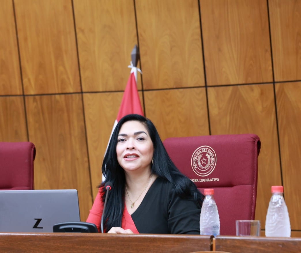 SenadoPy tweet media