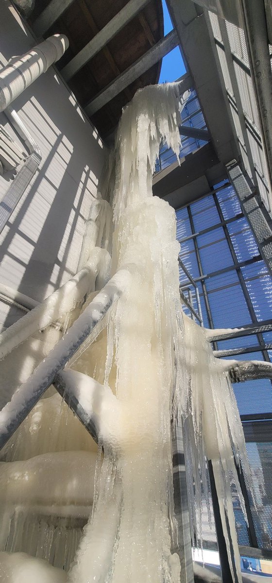 XJ-Ø(Zero) tweet media