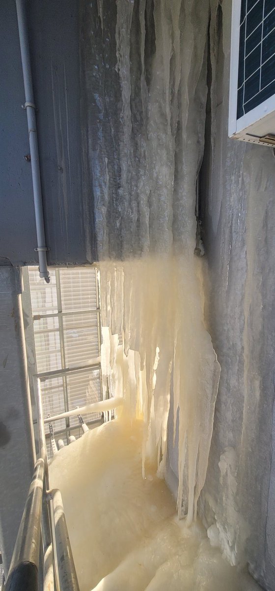 XJ-Ø(Zero) tweet media